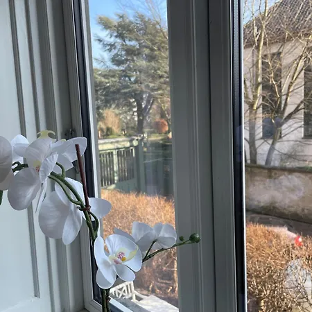 Appartement Stylish With Prime Location In Osterbro Copenhague